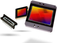 Image Sensor